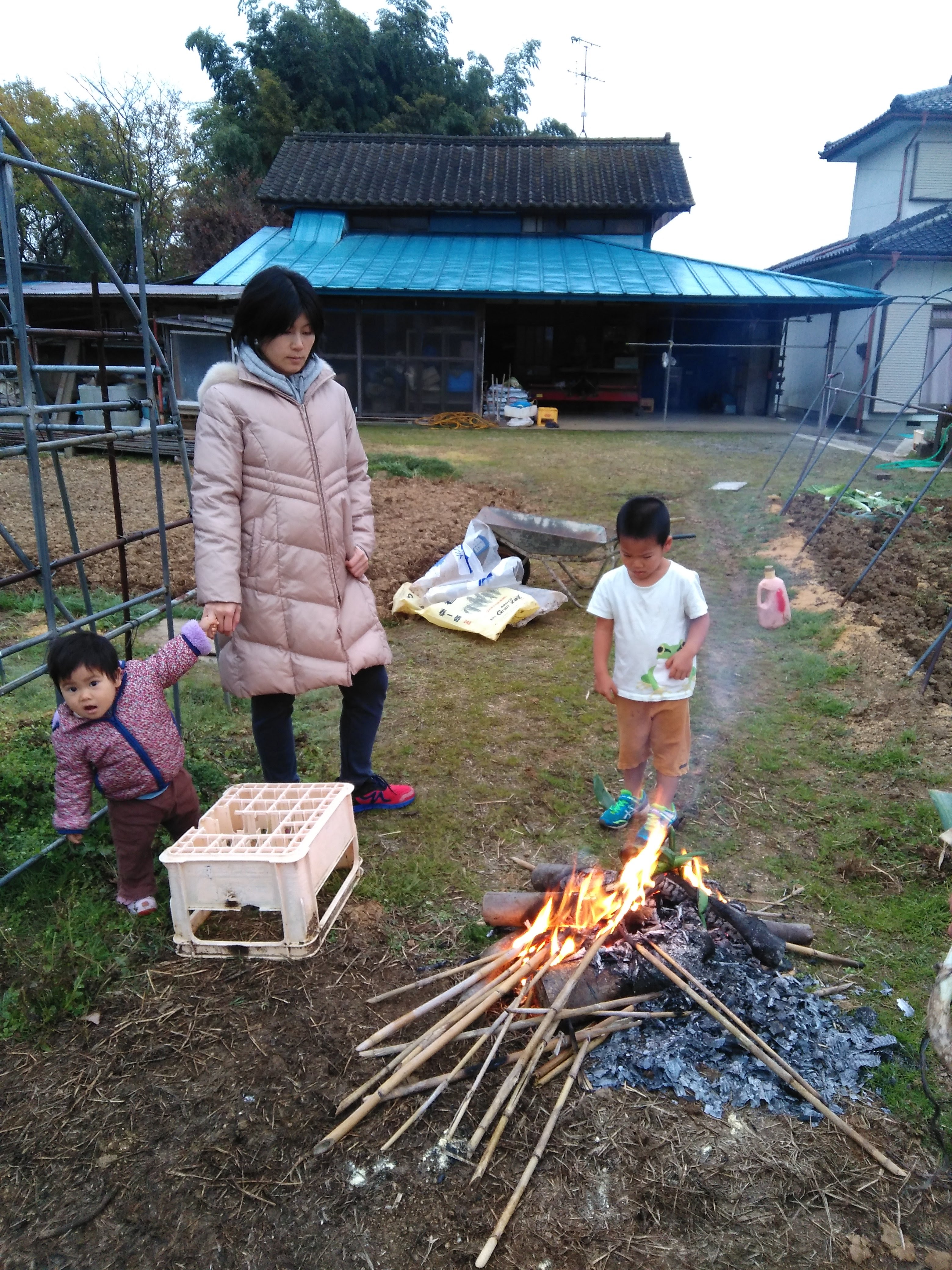11月福島
